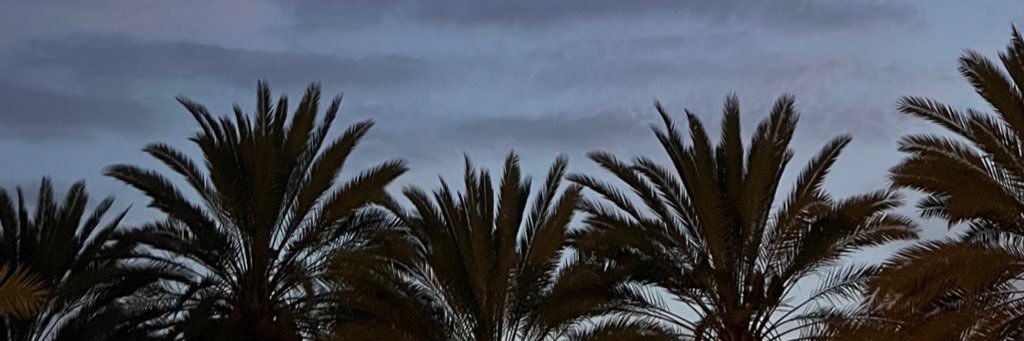 Faisal banner