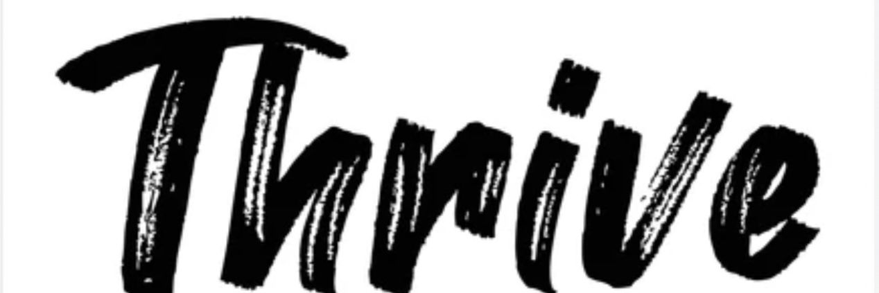 VoiceVamp's profile banner image