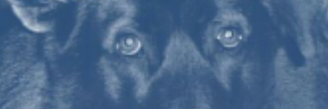 biggazza77's profile banner image