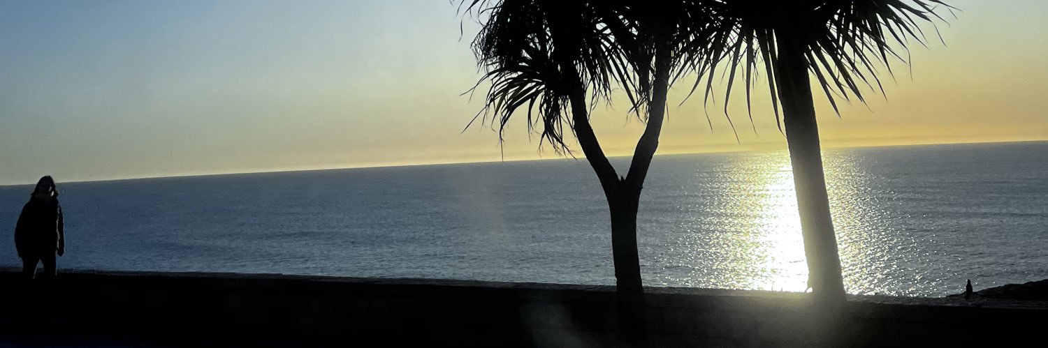 manuaris's profile banner image