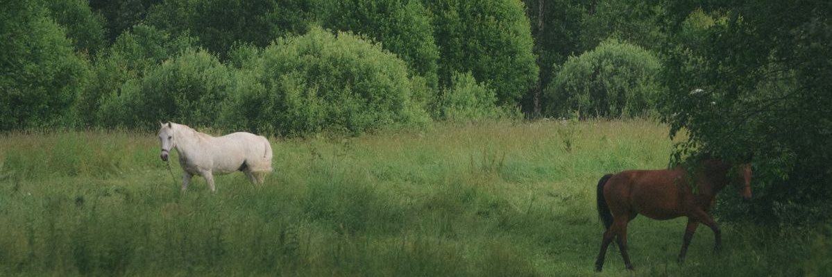 keeeyt_'s profile banner image