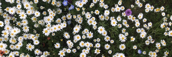 Frailife_ERC Profile Banner