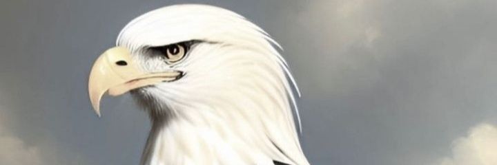 Ashkan Sepehri banner