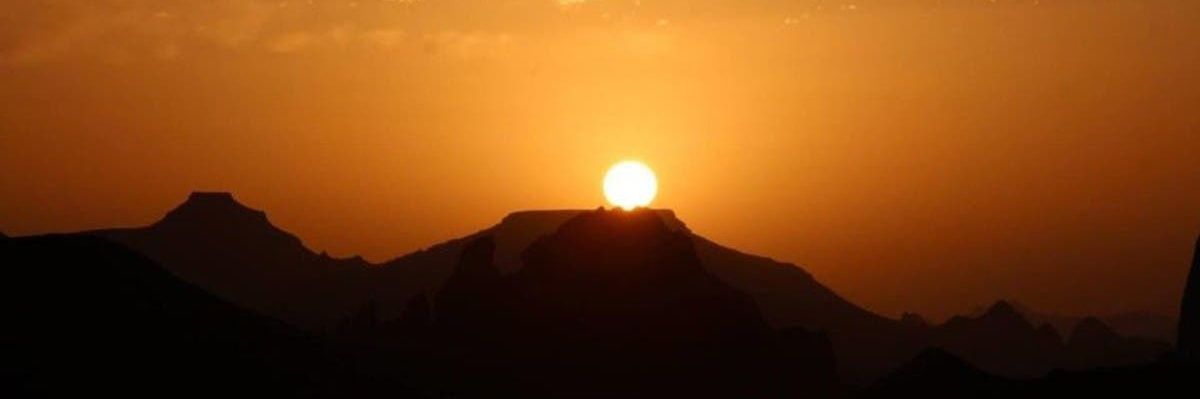 hamed22656's profile banner image