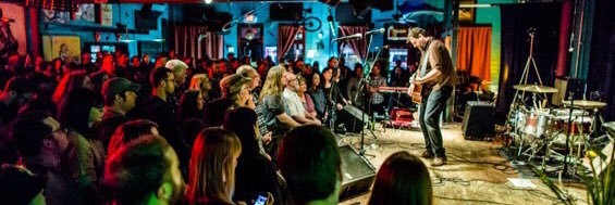 Dan's Silverleaf banner