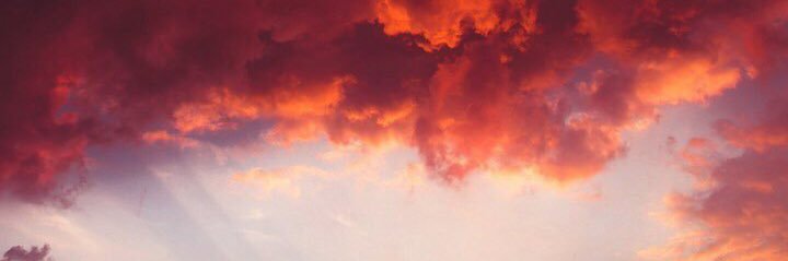 mpanova11's profile banner image