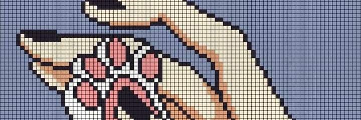 sil_pinera's profile banner image