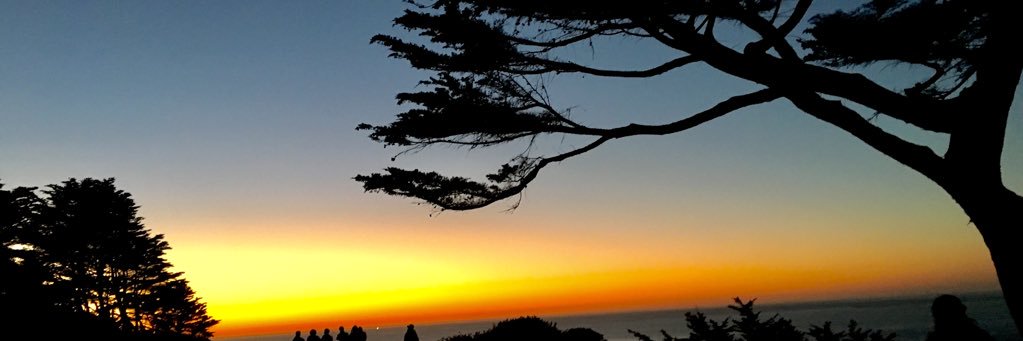aimkimee's profile banner image
