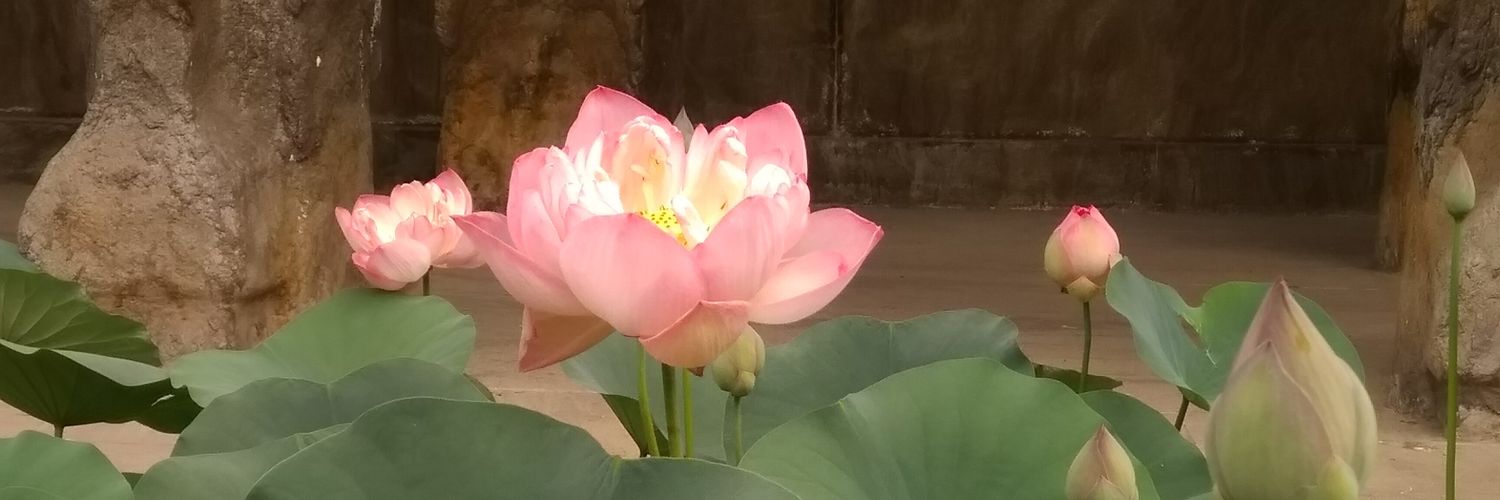KumarILUVINDIA's profile banner image
