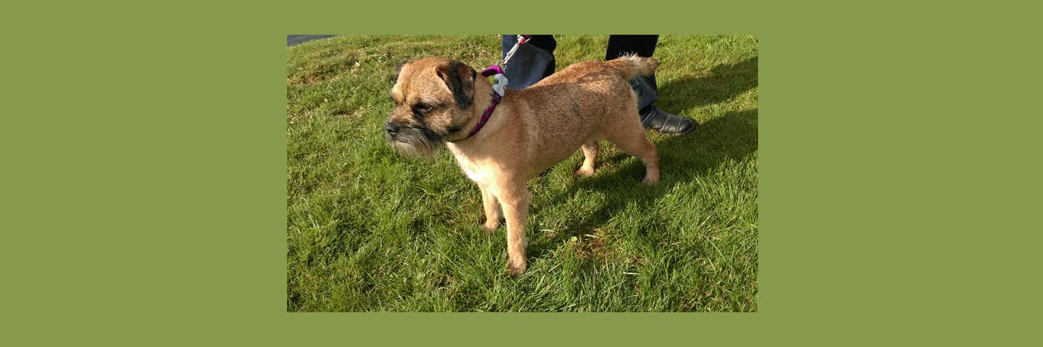 formerly Tilly BT, but now with Maggie banner