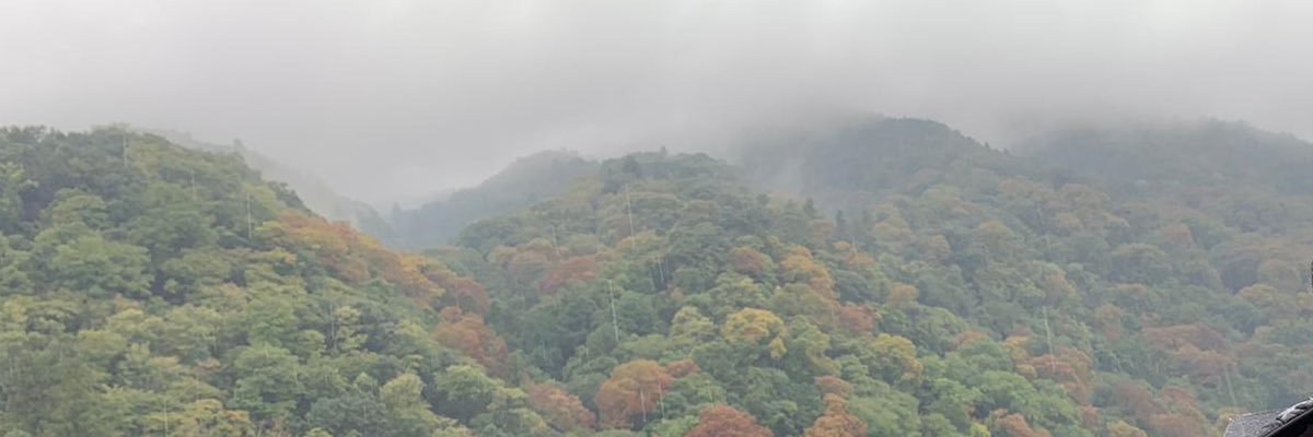 weldhaldeera's profile banner image