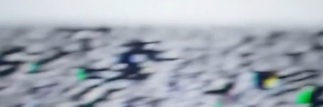 DV_ghost's banner