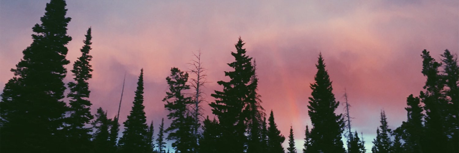 BirchSydney's profile banner image