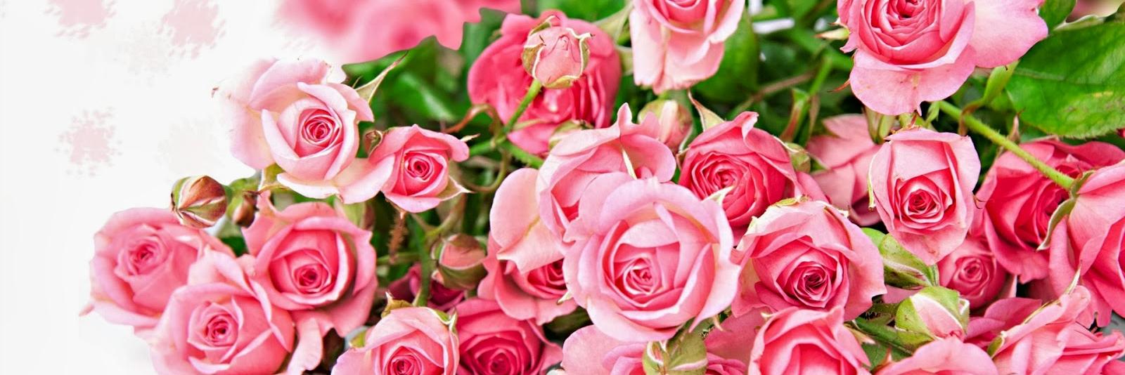 Puji_anggi's profile banner image