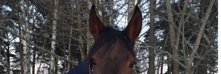 ida4400's profile banner image