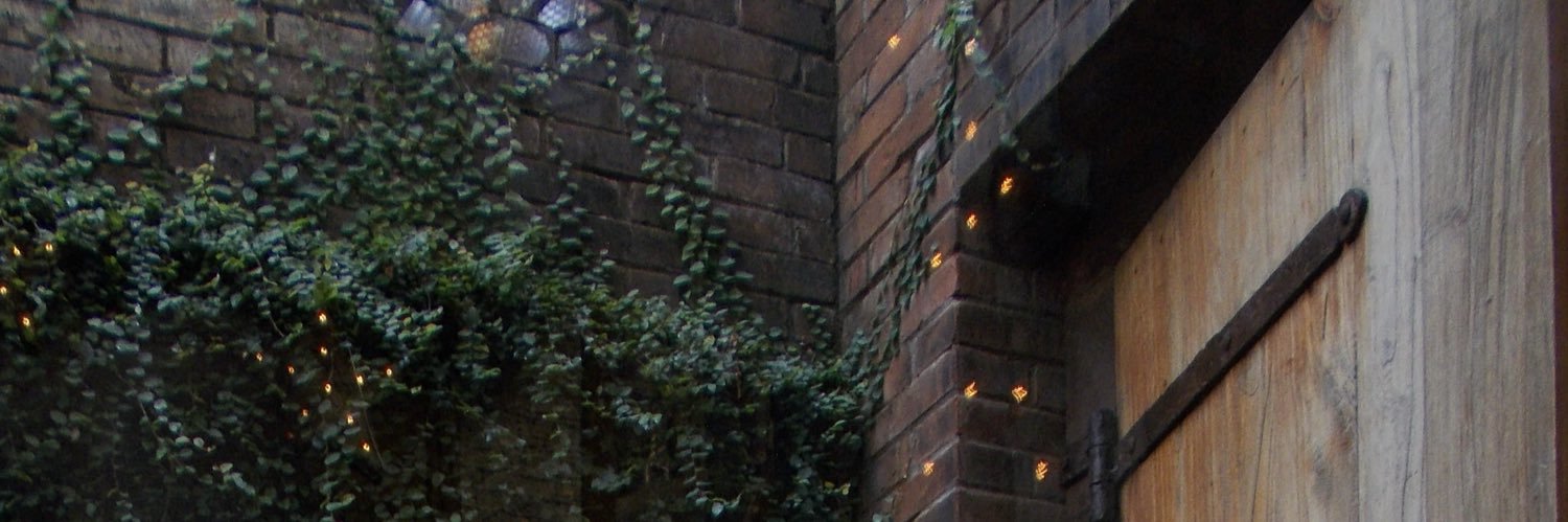𓇟 banner