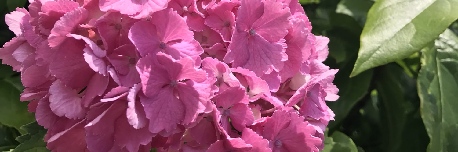rsluvmn76's profile banner image