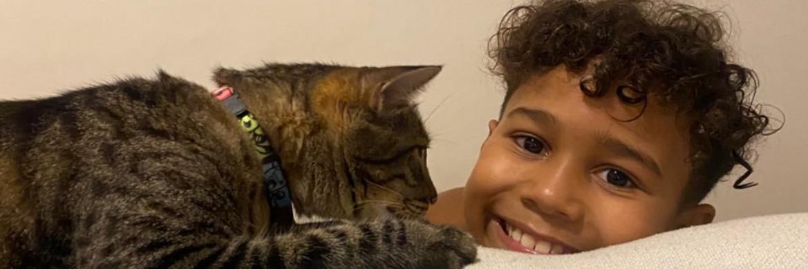 disturbien's profile banner image
