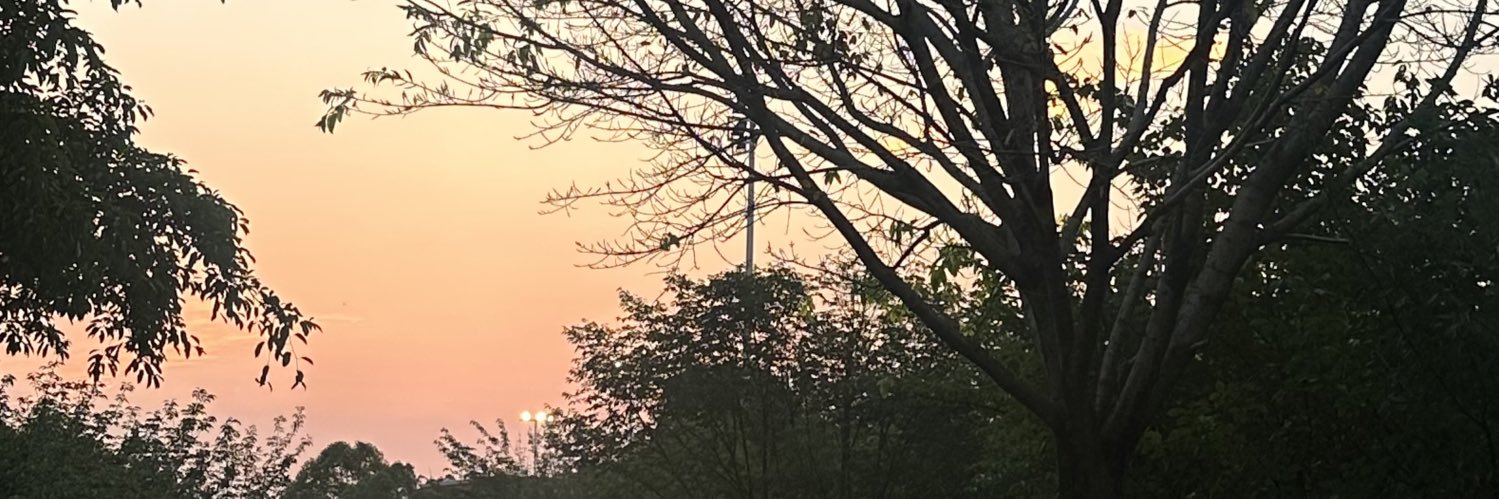 l45019's profile banner image