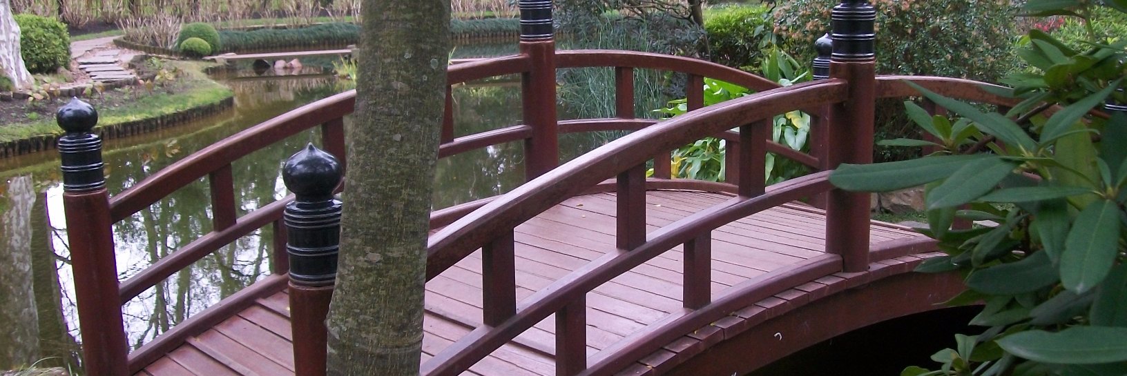 Sandra Osano banner