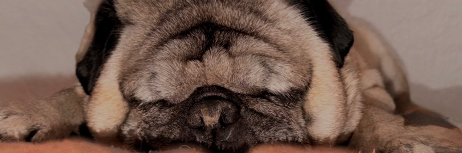 dircebecerril's profile banner image