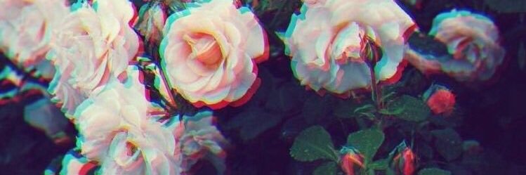 TINACBB's profile banner image