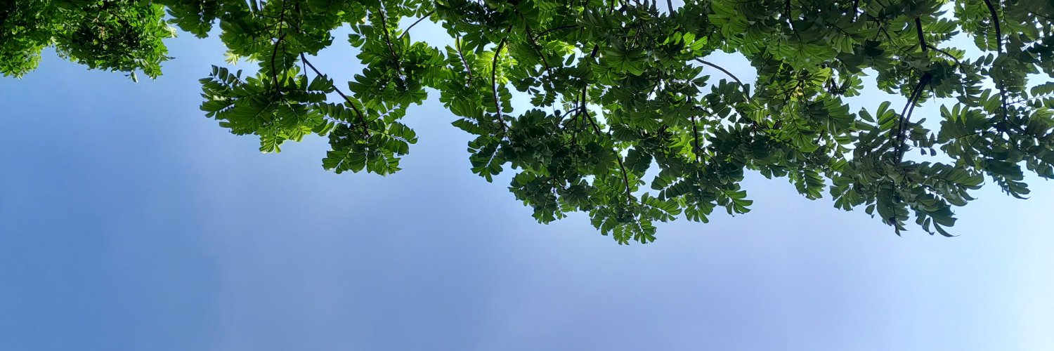 ryryuryuu's profile banner image