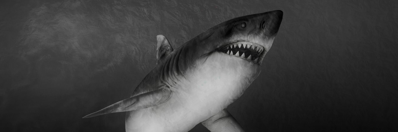 Alexander🗝Sharkᴺᶠᵀ's banner