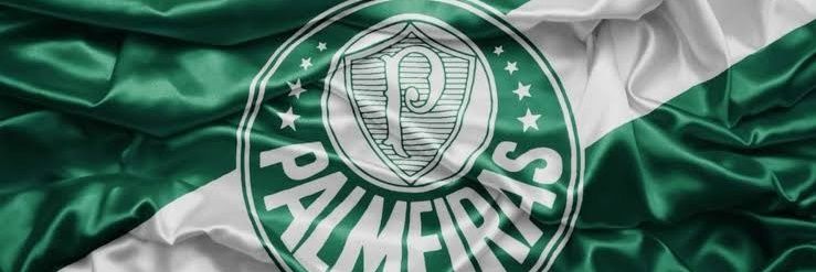 Gleison Santana💚🤍 banner