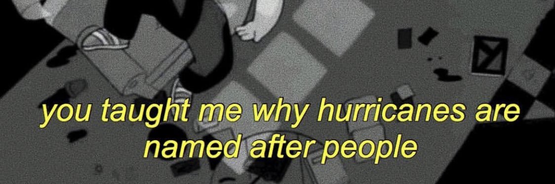 denisesjlund's profile banner image
