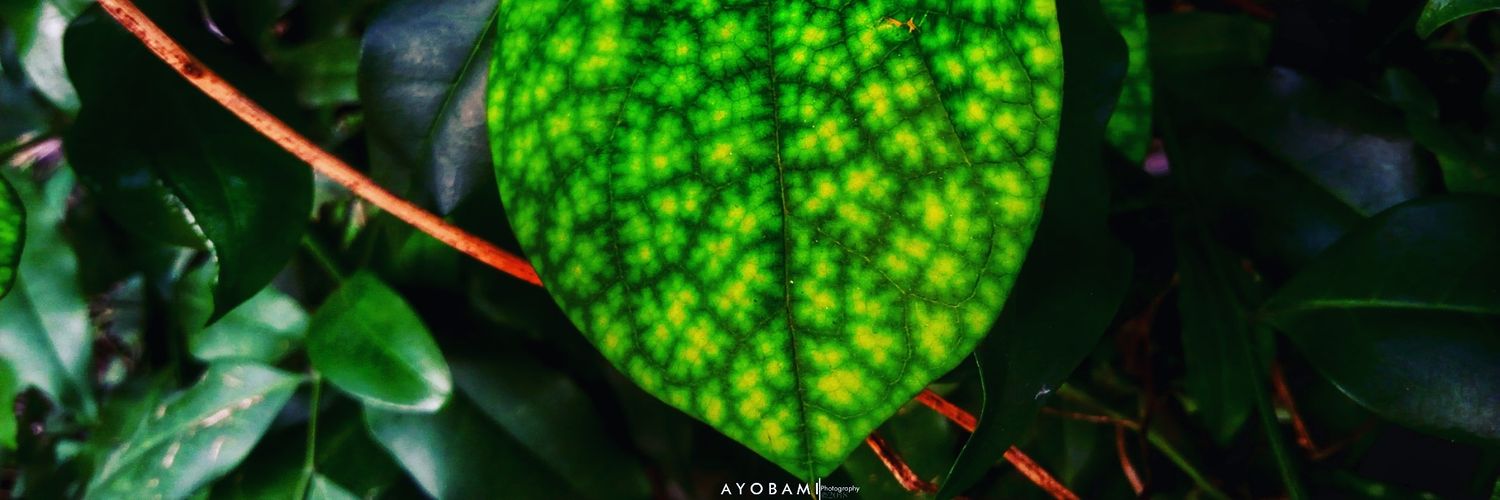 Folabipraise's profile banner image