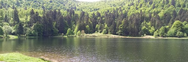 EspaceBoreal Profile Banner