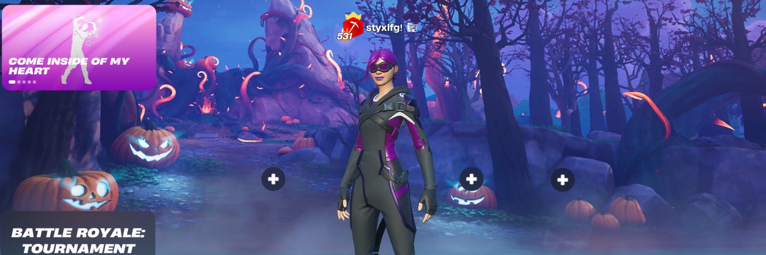 styxlfg banner