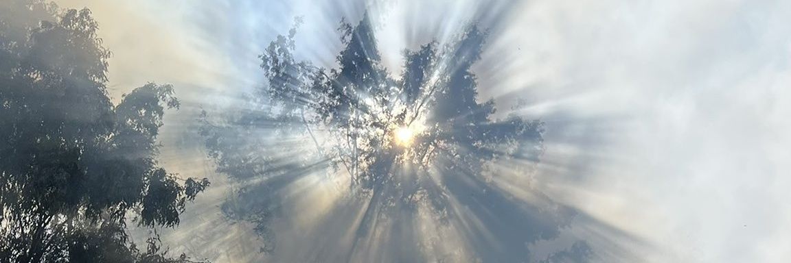 Sh19_3's profile banner image