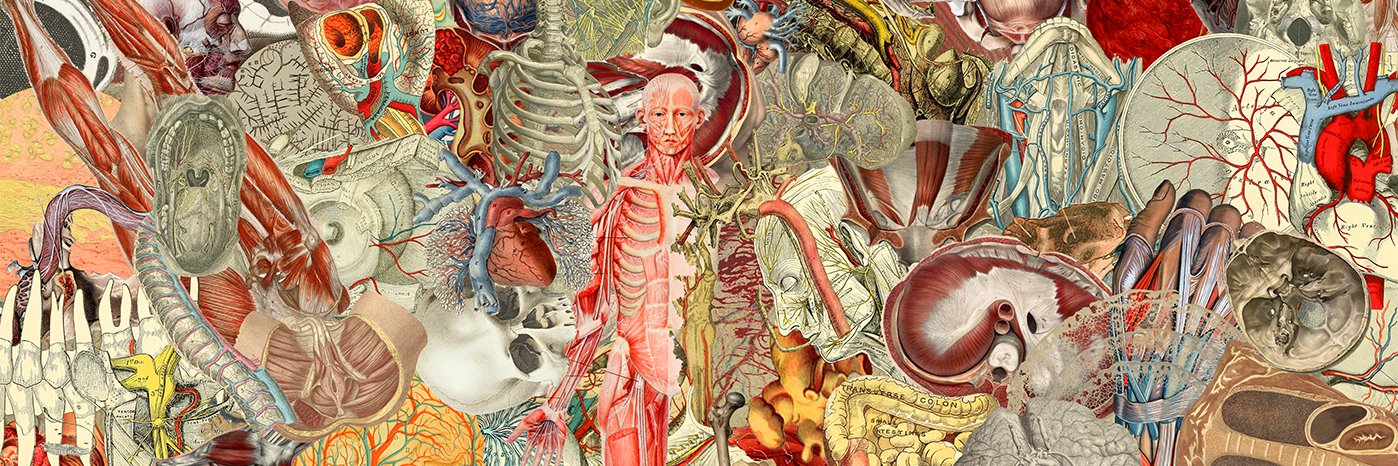 Novrizky Norman S banner