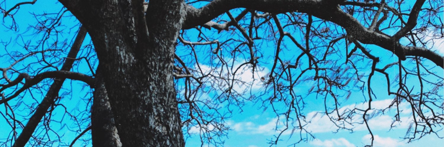 Denovaan's profile banner image