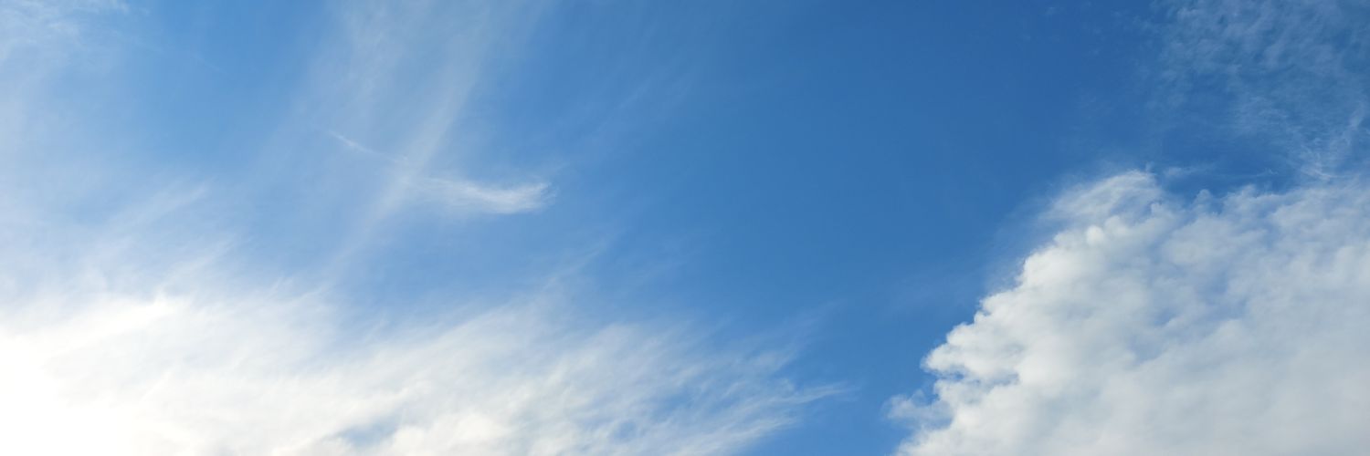 Sylvvvia_O's profile banner image