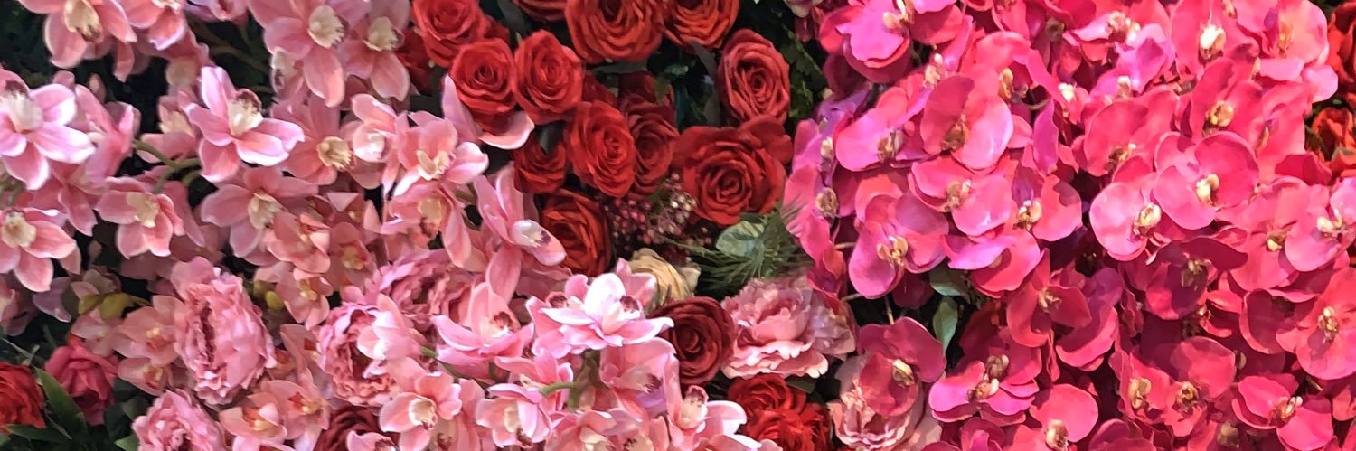 lisaphamxo's profile banner image