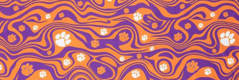 ClemsonTitan's profile banner image