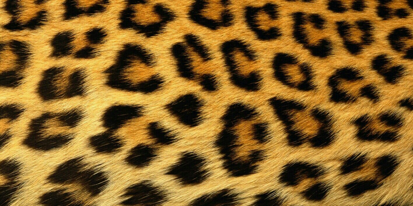 GuilloJM's profile banner image