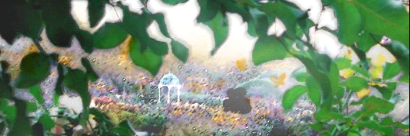 Yuki ❄️ banner