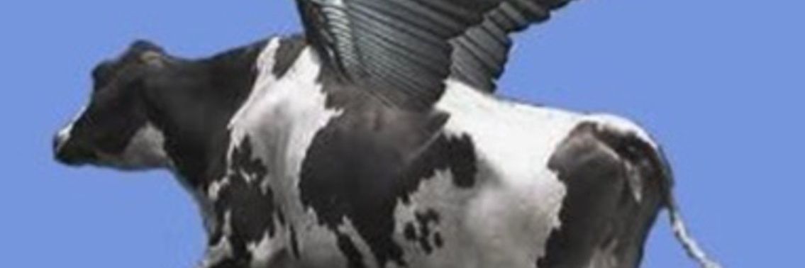 Sabino67's profile banner image