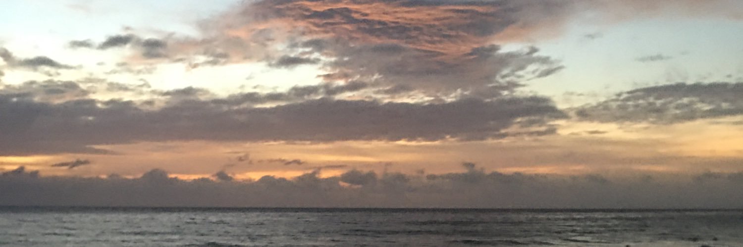 frapochiino's profile banner image
