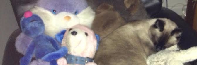 ~🇺🇸~Helen 47~ 🇺🇸 banner