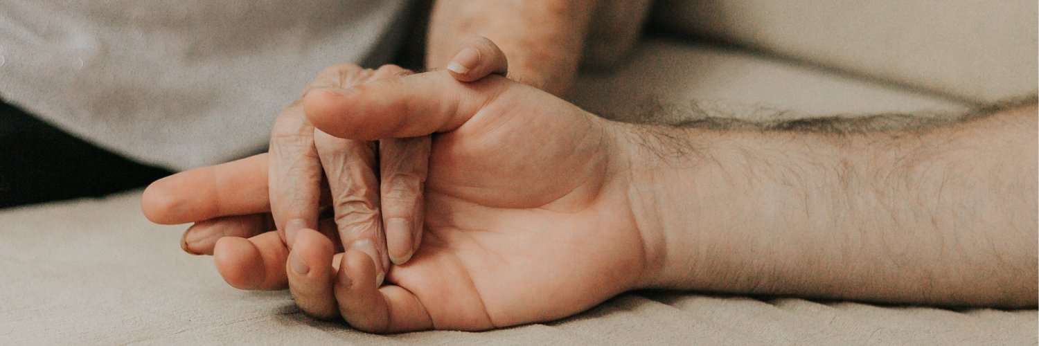 Zaintza Araba banner