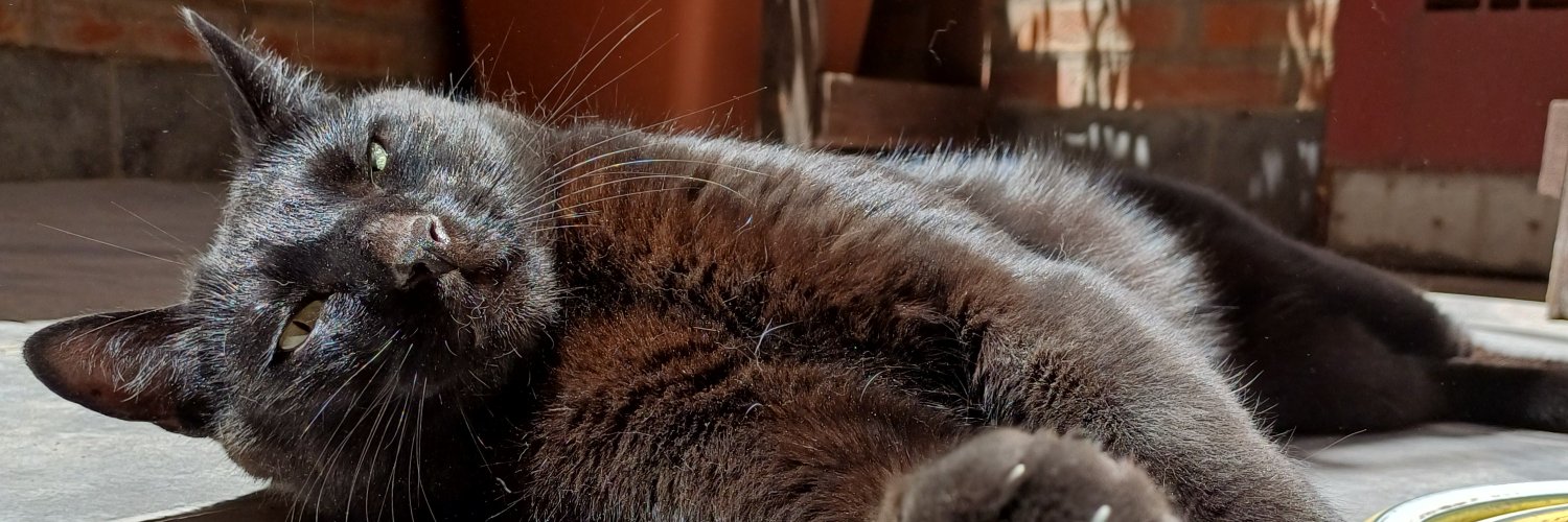ornedelgaudio's profile banner image