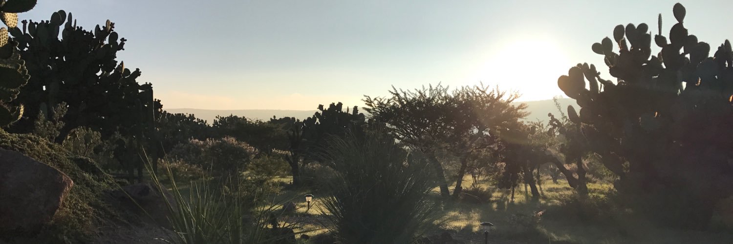 ostoa1's profile banner image