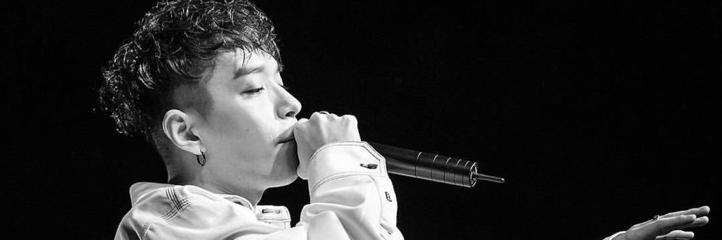 DragonPanda13's profile banner image