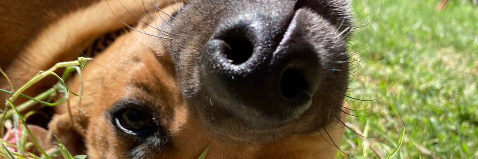 Barmanic's profile banner image