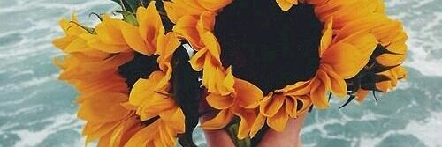 RianDeviana's profile banner image